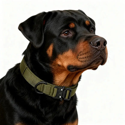 Tactical Dog Training Collar, Multi-Size Adjustable Heavy-Duty 1000D Nylon with Quick-Release Buckle, Chafe-Resist Pad & Double Closure Helps Resist Pulling for Comfort & Safety, Dog Accessory