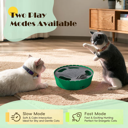 Interactive Cat Toy with Running Mouse, Automatic Track Kitten Toy