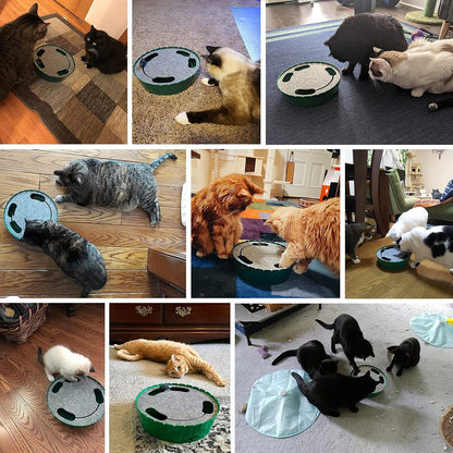 Interactive Cat Toy with Running Mouse, Automatic Track Kitten Toy