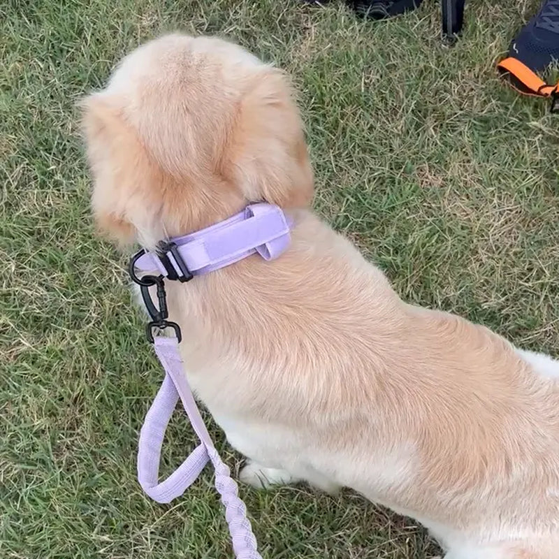 Tactical Dog Training Collar, Multi-Size Adjustable Heavy-Duty 1000D Nylon with Quick-Release Buckle, Chafe-Resist Pad & Double Closure Helps Resist Pulling for Comfort & Safety, Dog Accessory