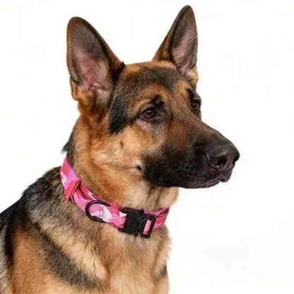 Tactical Dog Training Collar, Multi-Size Adjustable Heavy-Duty 1000D Nylon with Quick-Release Buckle, Chafe-Resist Pad & Double Closure Helps Resist Pulling for Comfort & Safety, Dog Accessory