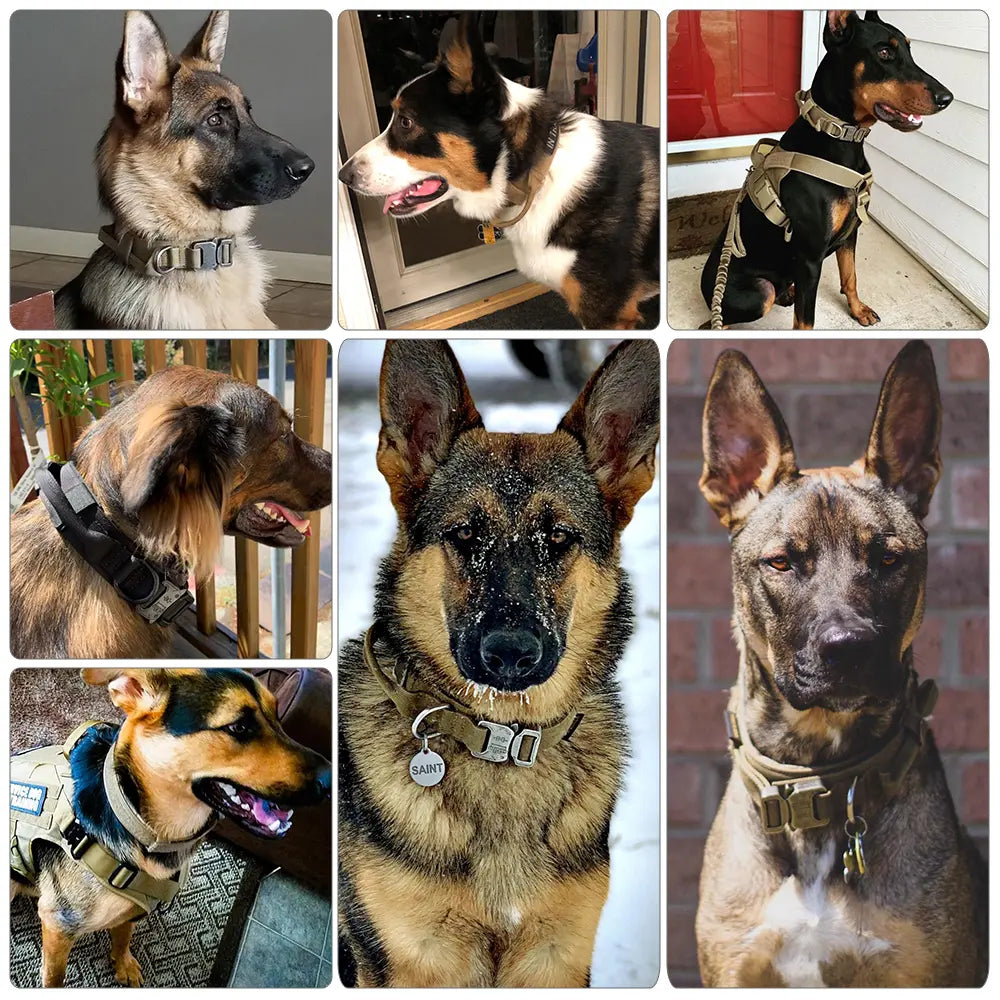 Tactical Dog Training Collar, Multi-Size Adjustable Heavy-Duty 1000D Nylon with Quick-Release Buckle, Chafe-Resist Pad & Double Closure Helps Resist Pulling for Comfort & Safety, Dog Accessory