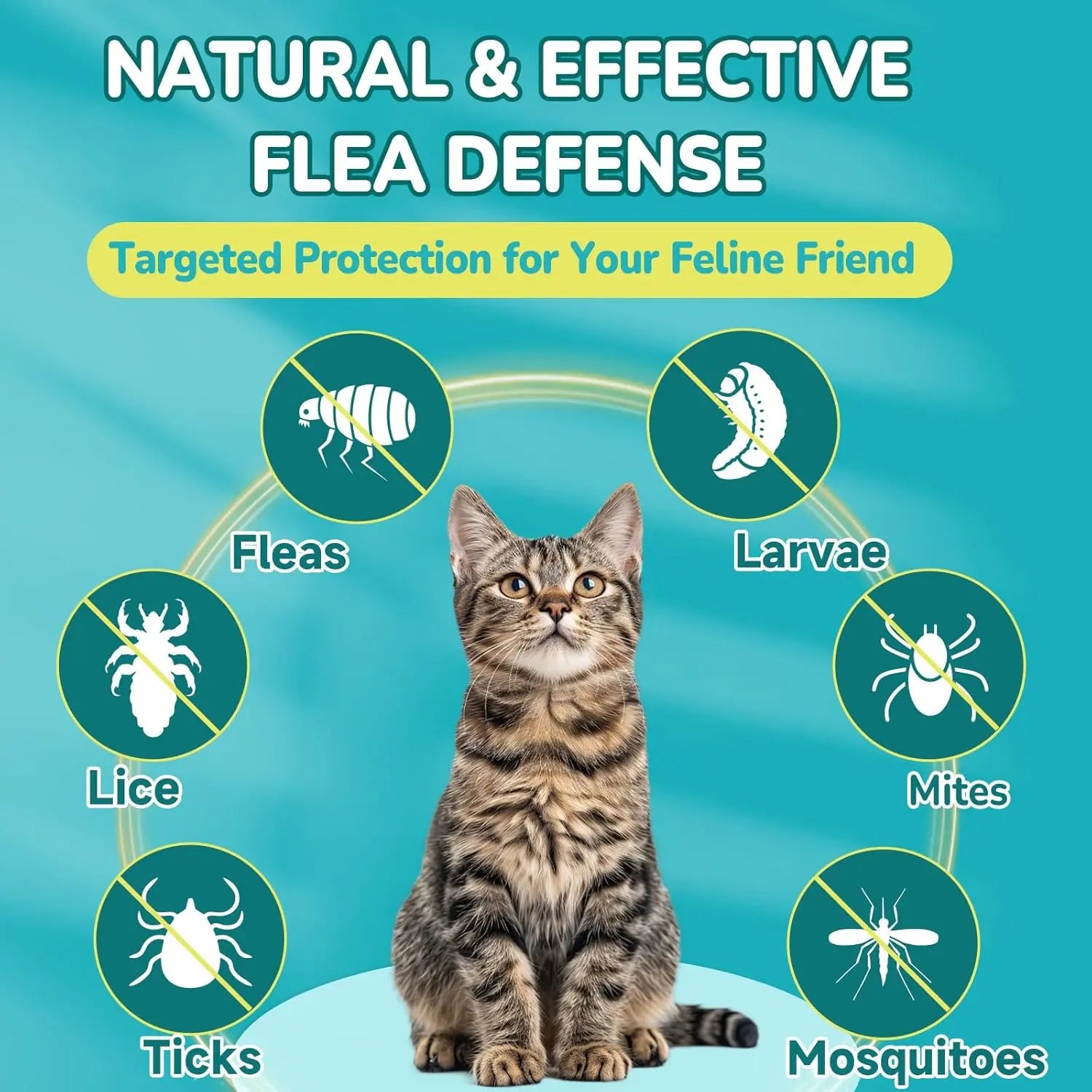 Woyamay Flea & Tick Protection for Cats, 4-IN-1 Cat Chewables Support Immune, Skin & Coat, Digestion & Gut Health with Omega-3, Multivitamin Supplement for All Ages & Breeds-500 Chews #Summervibes #Petlovers