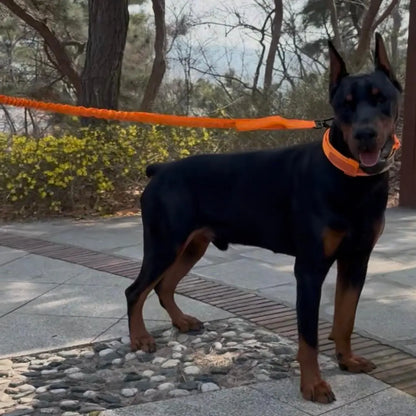 Tactical Dog Training Collar, Multi-Size Adjustable Heavy-Duty 1000D Nylon with Quick-Release Buckle, Chafe-Resist Pad & Double Closure Helps Resist Pulling for Comfort & Safety, Dog Accessory